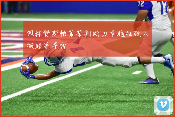 佩林赞斯帕莱蒂判断力卓越细致入微超乎寻常