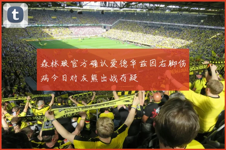 森林狼官方确认爱德华兹因右脚伤病今日对灰熊出战存疑